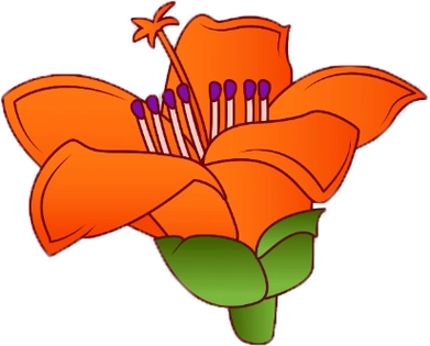 还在路边捡木棉花煲汤且慢不是所有人都能喝