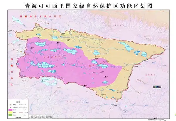 守护|可可西里巡山队的二十五年:追盗,陷车,高反,独守