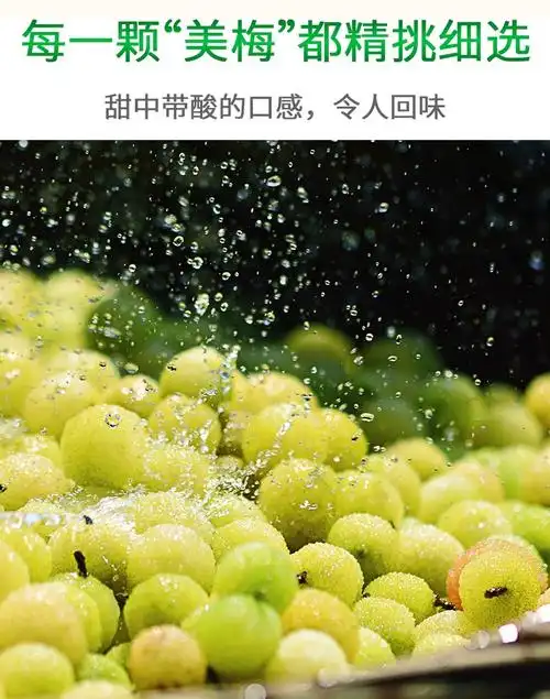 海天冰梅酱260g家用厨房烤鸭叉烧酱蘸料酸梅酱调味酱梅子酱海天冰梅酱