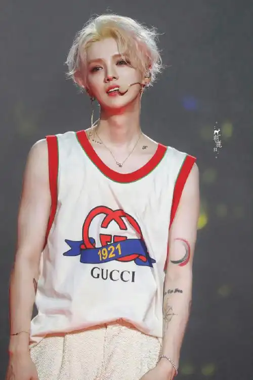 鹿晗三巡演唱会