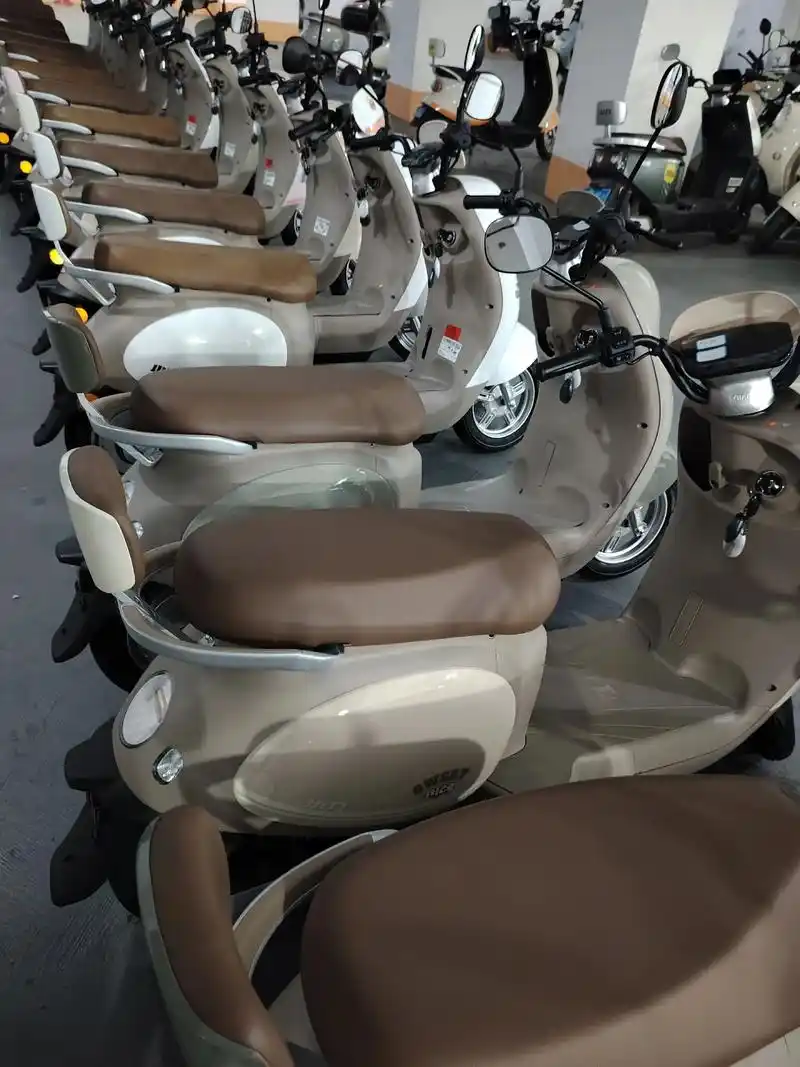 南宁小鹿电动车租赁(免鸭版)日租,周租,月租#南宁同城 #南