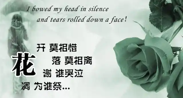 当你决定离我而去的时候,我就知道这一切都结束了