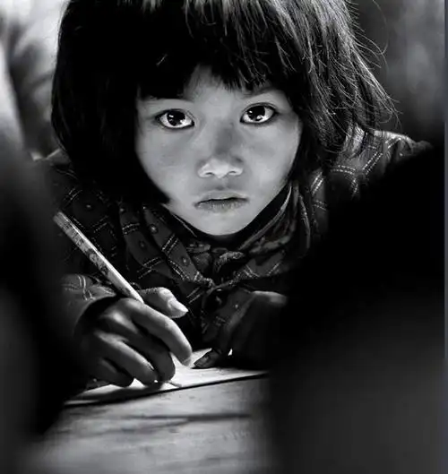 从"大眼睛"女孩到二十大代表,苏明娟散发的启示和感动沁人心脾