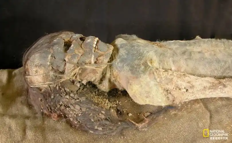 罗布泊恐怖生物照片(罗布泊恐怖生物照片ie=utf-8) - 泉兴百科