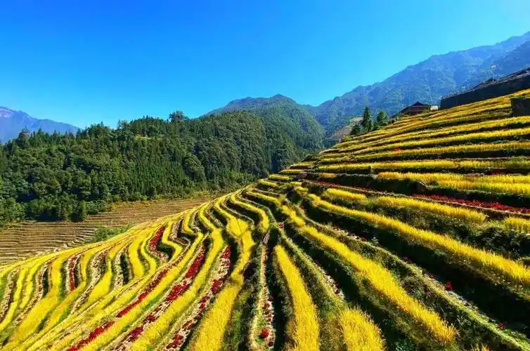 桂马选手可免费参观十二大景点_景区_桂林_旅游
