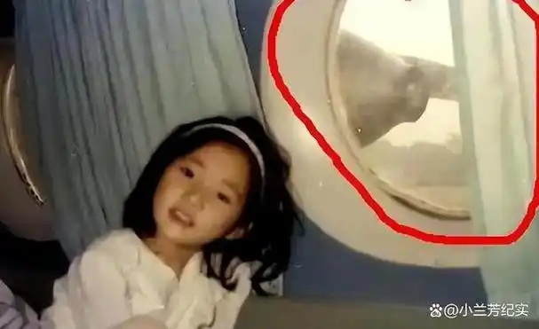 家族企业领域广泛,这也解释了为何韩雪小时候能乘坐私人飞机