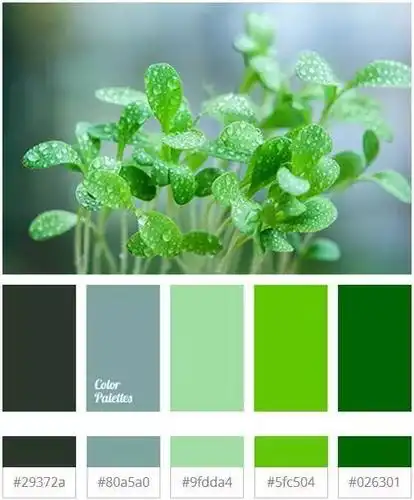 海岸分享 | 大自然才是最好的色彩搭配师,不服来辩!