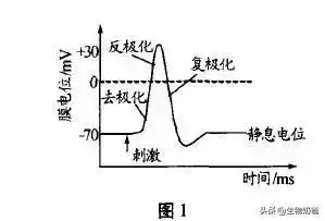 离子共存问题讲解高中(高考姊妹题赏析)(2)
