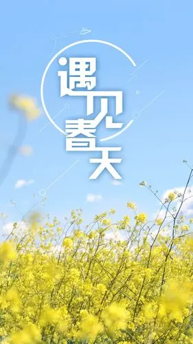 遇见,春天,清新,文艺, 标签:蓝天白云简约壁纸简约迎春花春天你好