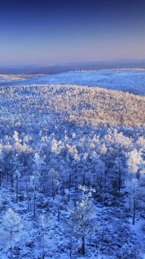 黑龙江大兴安岭,锁屏图片,高清手机壁纸,风景-回车桌面
