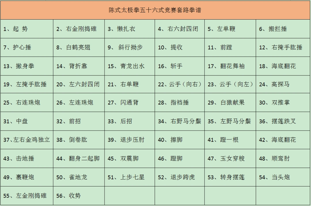 这么远却又那么近——张玉哲陈氏太极56式直播