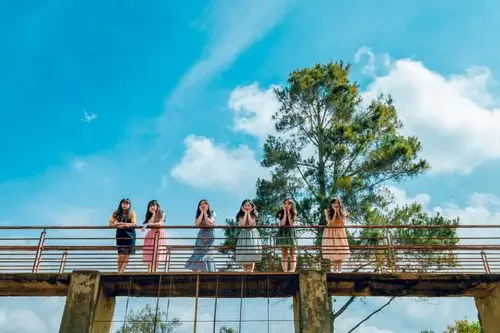 桥牌上的六个女人-人,低角度摄影,团体,女人,女孩,姿势,户外,树,桥