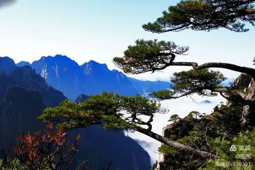 黄山——中国风景名胜唯一的山岳风光