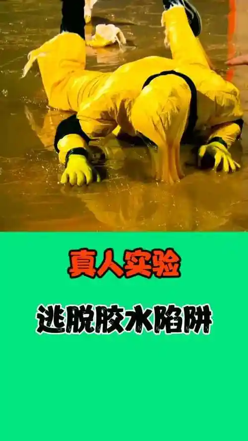 真人实验逃脱胶水陷阱就和老鼠一样结果让人意想不到