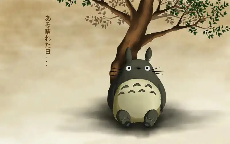 简约版龙猫,卡通明星-回车桌面