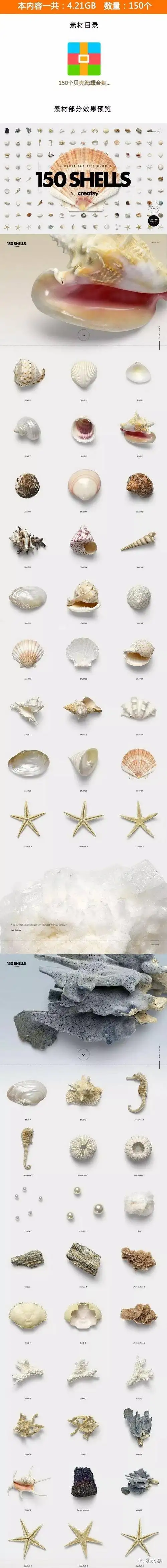 765.海底世界高清海洋贝壳海螺海星图片素材 高像素透明背景