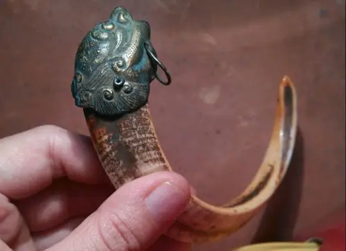 野猪的牙能有辟邪的功能吗?听听专家怎么说