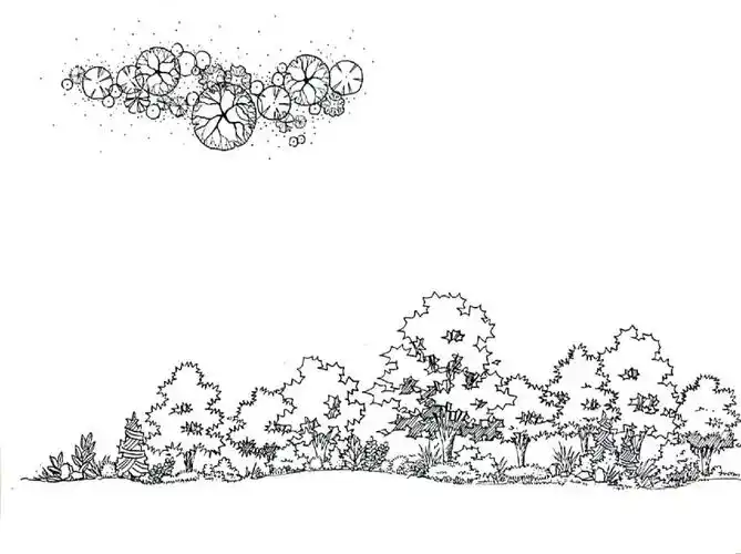 设计考研  #立面设计  #园林植物配置  #立面植物  #庭院景观  #手绘