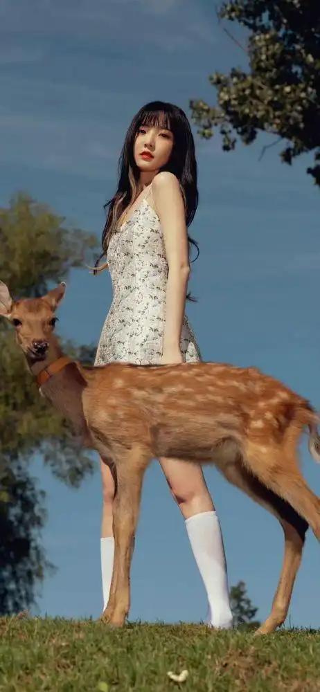 郑乃馨明星手机壁纸长腿姐姐