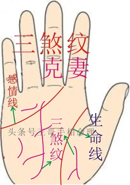 克妻,克子,克母,贪婪,爱占便宜,替人做事爱耍滑头的手相