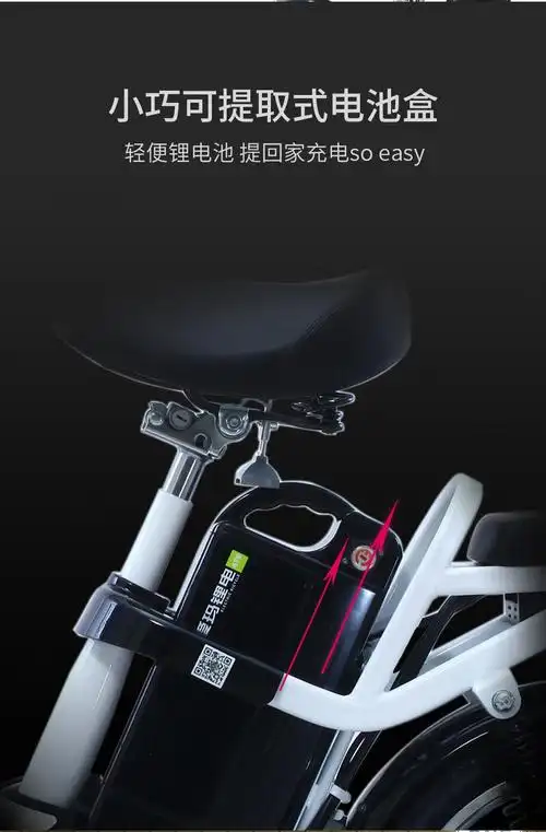 爱玛aimi炫乐2锂电代步车电池轻便可提取新国标全国联保