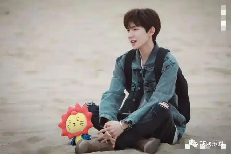 当然在这几个小伙伴们,小狮子应该是人气最高的,不仅可以多次和王源"