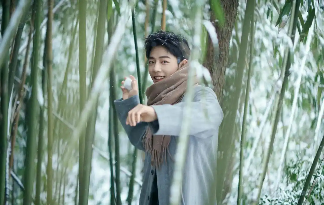 肖战冬至竹林大片