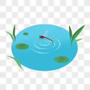 蜻蜓素材蜻蜓点水素材