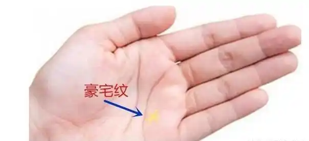 慈一堂:9大财富纹,有其中一个就不得了!