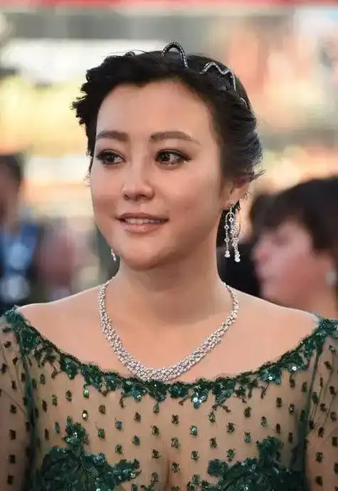 郝蕾:与刘烨离婚后,自己一人养育双胞胎儿子,如今怎么样了|女演员