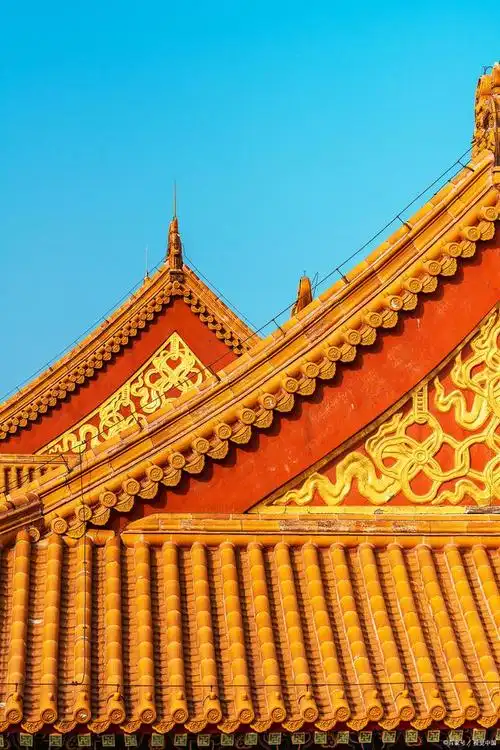 为何故宫上空很多鸟,屋顶却一尘不染没有鸟粪?