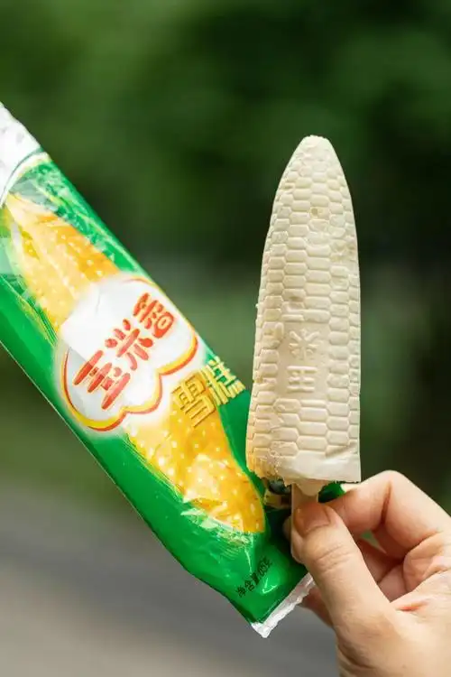 这些童年"雪糕护卫",一支就是一整个世界!