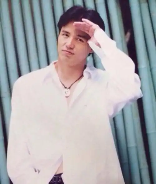 林瑞阳,是当年的琼瑶剧中御用男主角,凭藉《海鸥飞处彩云飞》,《一帘