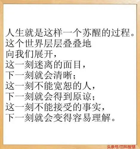人生就是这样活到老并一直醒悟到老经典