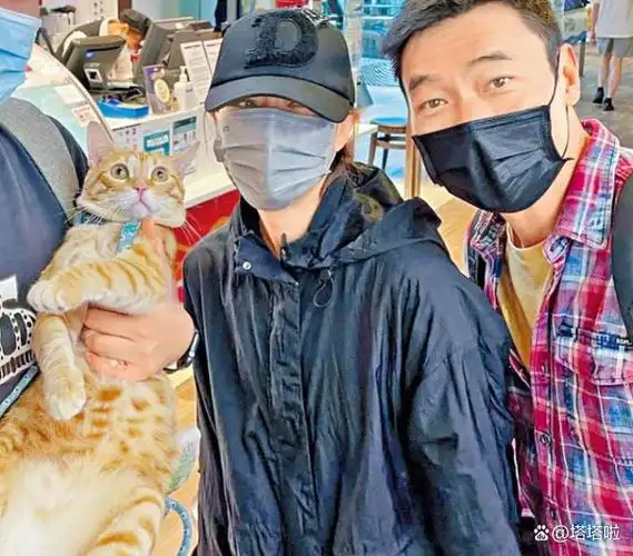 郑秀文许志安恩爱日常曝光