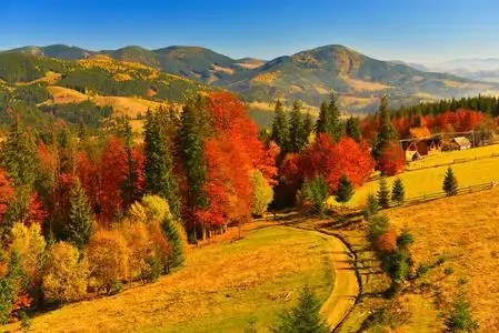 秋天的山林图片