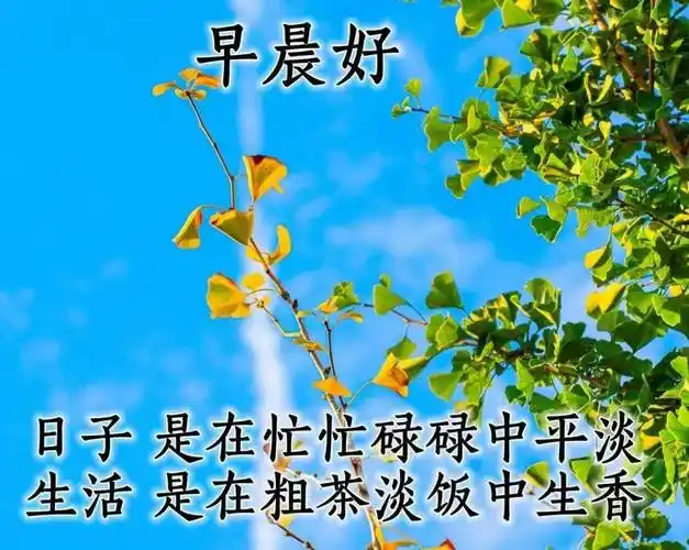 唯美秋天早安问候祝福风景图片带字温馨_阳光
