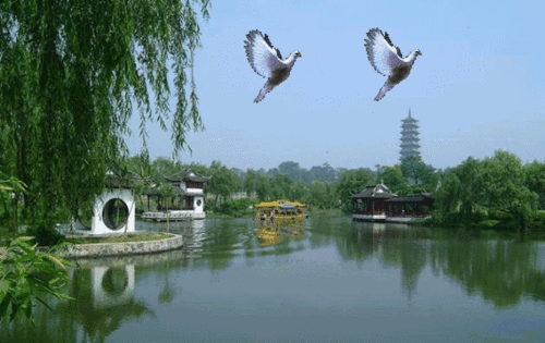 600_378gif 动态图 动图