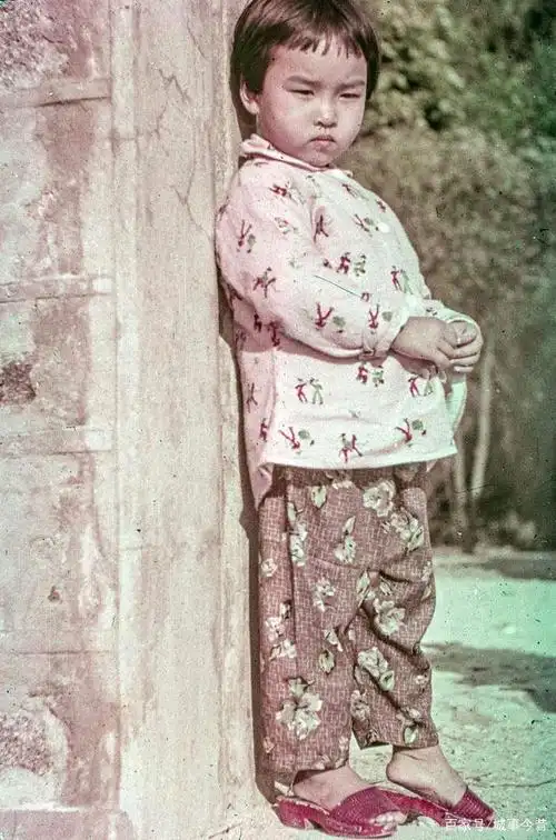 老照片再现上世纪60年代的香港,我不说你看得出来是香港吗?