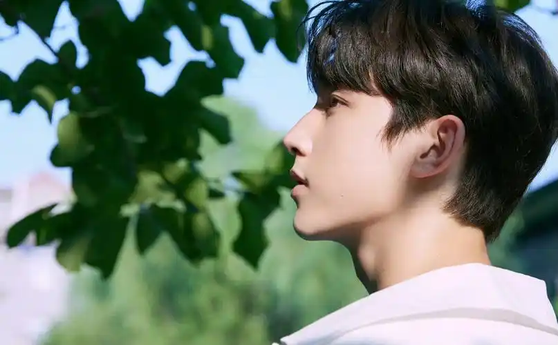 郭俊辰清新写真纯白短袖清爽少年感棱角分明的侧脸