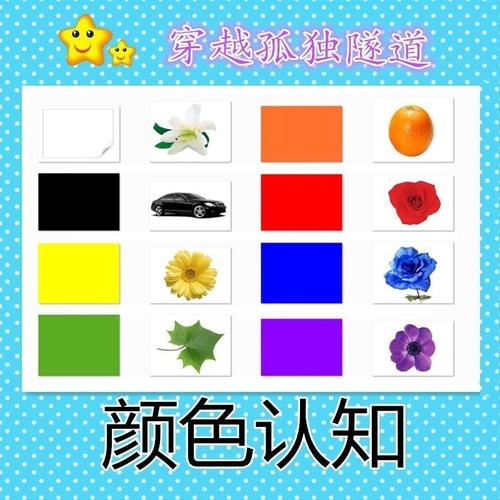 自闭症孤独症aba教学实操卡片颜色卡片儿童康复训练教具
