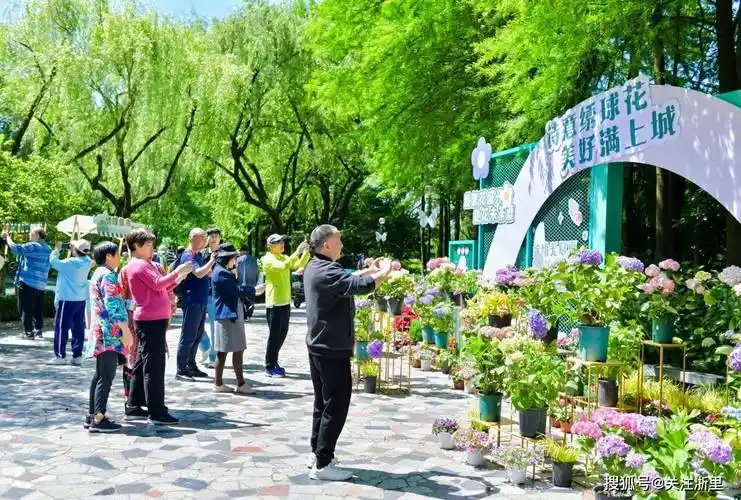 美好满上城——杭州市上城区开启特色花卉展_市民_游客_花展
