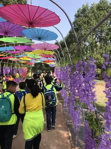 习国学经典 做美德少年----盼盼二小1501班锦绣江南研学旅行