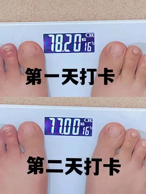 奶咖05午餐:青菜晚餐:牛肉饭 青菜今日总结:今天起07空腹称的哈