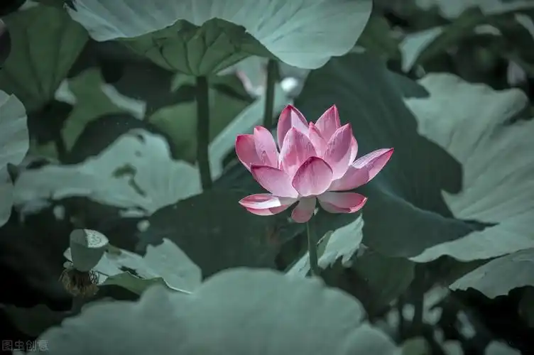 超级有质感的10句ins风高级中英文文案