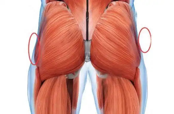 想要翘臀?看这里:4个动作锻炼臀中肌与臀大肌,练出完美臀形