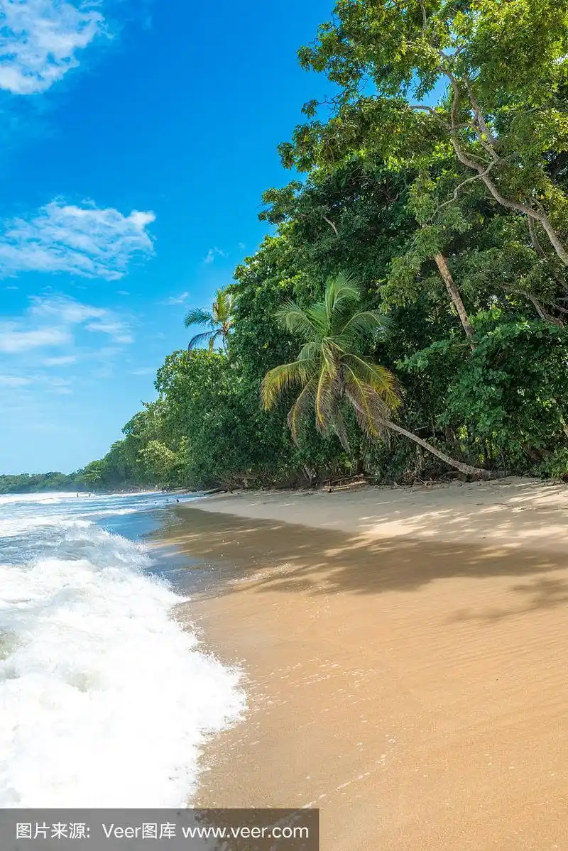 哥斯达黎加,雨林,海滩,自然美,热带气候