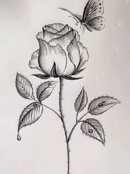 玫瑰花铅笔画教程,一起来学画画呀!画师:四月呀