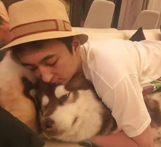 王思聪和他的"王可可"