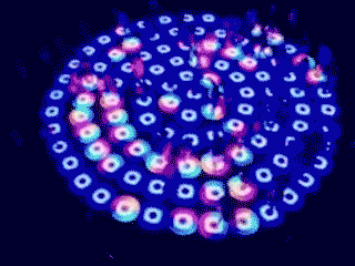 重庆主城下雪了?首个重庆圣诞冰雪嘉年华震撼来袭!仅需29.9元!